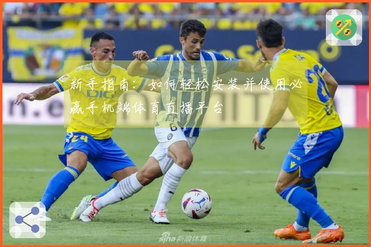 新手指南：如何轻松安装并使用必赢手机端体育直播平台