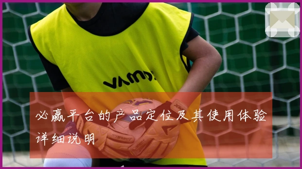 必赢平台的产品定位及其使用体验详细说明