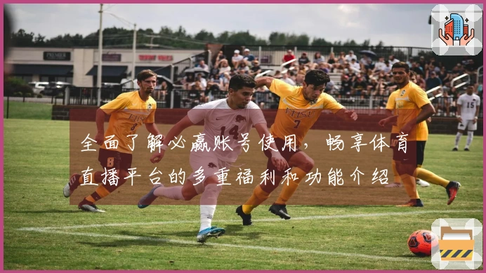 全面了解必赢账号使用,畅享体育直播平台的多重福利和功能介绍