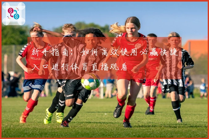 新手指南：如何高效使用必赢快捷入口进行体育直播观看