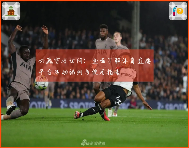 必赢官方访问：全面了解体育直播平台活动福利与使用指南