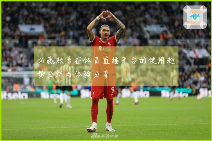 必赢账号在体育直播平台的使用趋势分析与体验分享