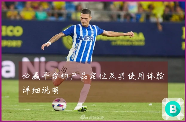 必赢平台的产品定位及其使用体验详细说明