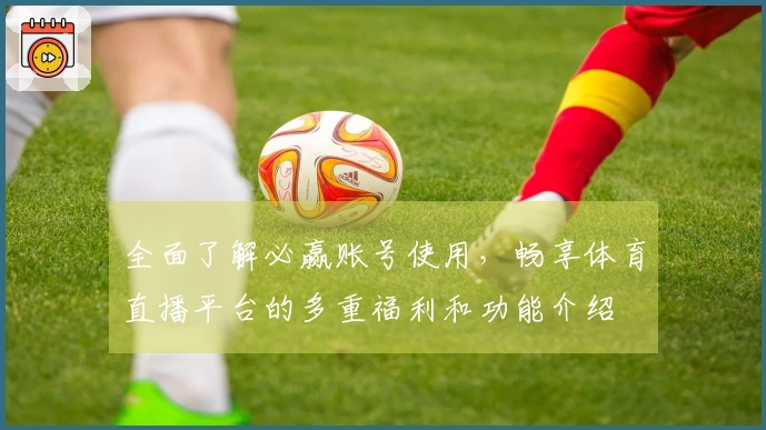 全面了解必赢账号使用，畅享体育直播平台的多重福利和功能介绍