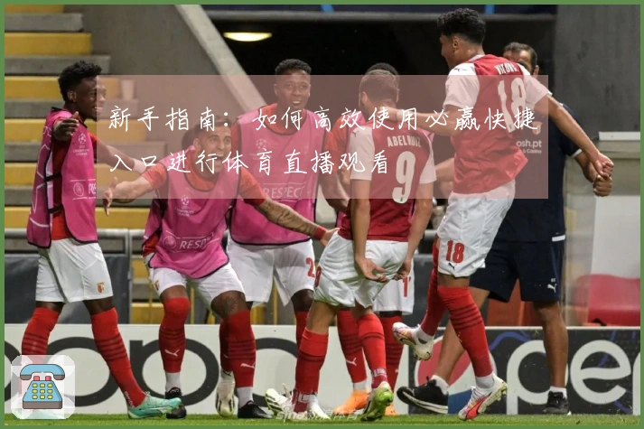 新手指南：如何高效使用必赢快捷入口进行体育直播观看